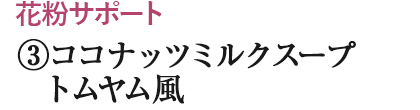 ③トムヤム風　ココナッツミルクスープ